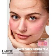 پالت رژگونه شیگلم Sheglam مدل Enamored - تصویر ۴